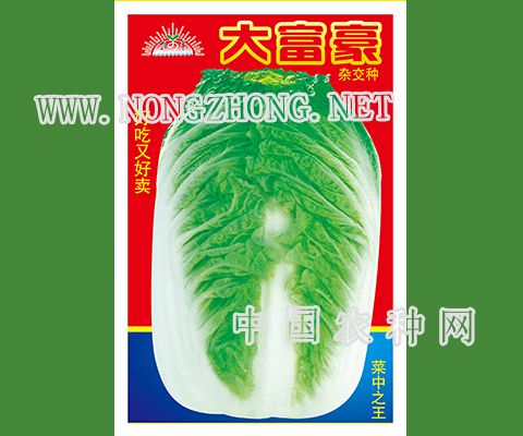 大富豪